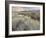 Owens River Valley, Sierra Nevada, California, Usa-Rainer Mirau-Framed Photographic Print