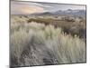 Owens River Valley, Sierra Nevada, California, Usa-Rainer Mirau-Mounted Photographic Print