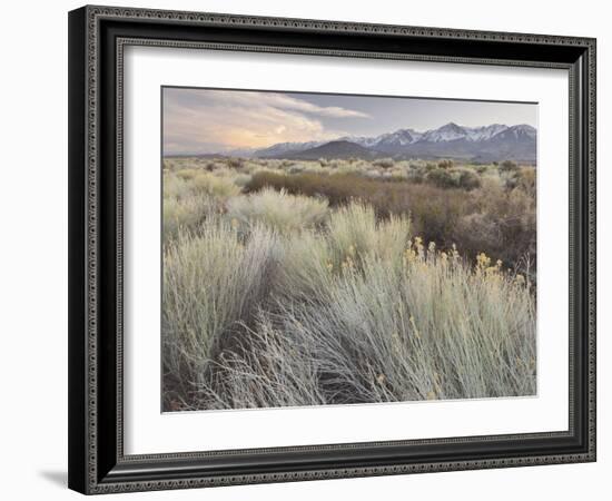 Owens River Valley, Sierra Nevada, California, Usa-Rainer Mirau-Framed Photographic Print