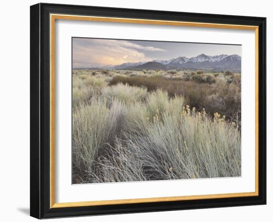 Owens River Valley, Sierra Nevada, California, Usa-Rainer Mirau-Framed Photographic Print