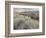 Owens River Valley, Sierra Nevada, California, Usa-Rainer Mirau-Framed Photographic Print