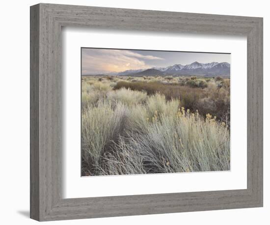 Owens River Valley, Sierra Nevada, California, Usa-Rainer Mirau-Framed Photographic Print