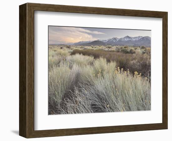 Owens River Valley, Sierra Nevada, California, Usa-Rainer Mirau-Framed Photographic Print