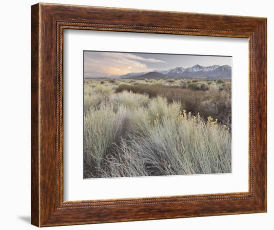 Owens River Valley, Sierra Nevada, California, Usa-Rainer Mirau-Framed Photographic Print