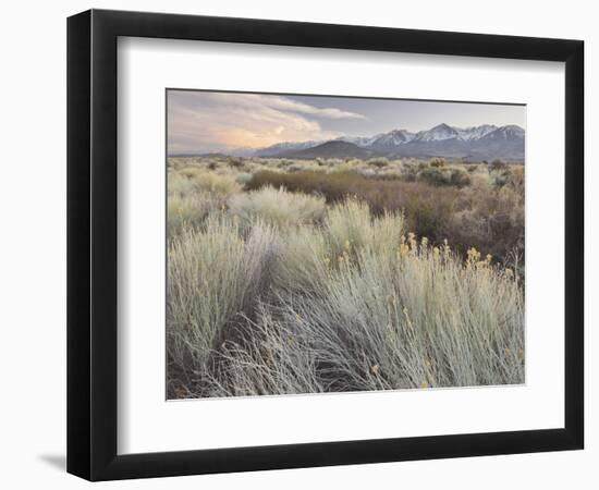 Owens River Valley, Sierra Nevada, California, Usa-Rainer Mirau-Framed Photographic Print