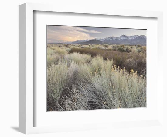 Owens River Valley, Sierra Nevada, California, Usa-Rainer Mirau-Framed Photographic Print