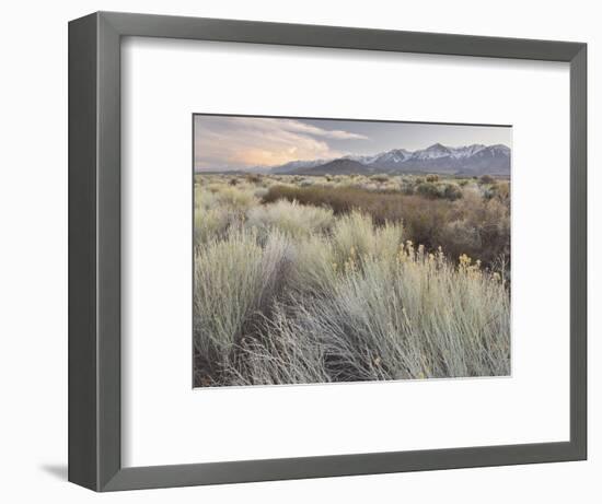 Owens River Valley, Sierra Nevada, California, Usa-Rainer Mirau-Framed Photographic Print