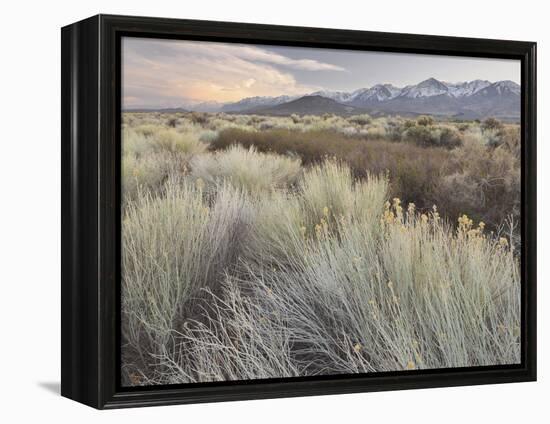 Owens River Valley, Sierra Nevada, California, Usa-Rainer Mirau-Framed Premier Image Canvas