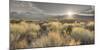 Owens River Valley, Sierra Nevada, California, Usa-Rainer Mirau-Mounted Photographic Print