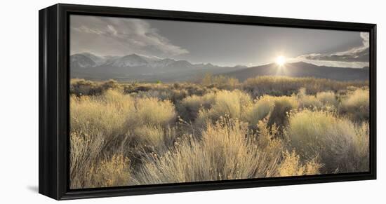 Owens River Valley, Sierra Nevada, California, Usa-Rainer Mirau-Framed Premier Image Canvas