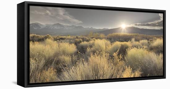 Owens River Valley, Sierra Nevada, California, Usa-Rainer Mirau-Framed Premier Image Canvas