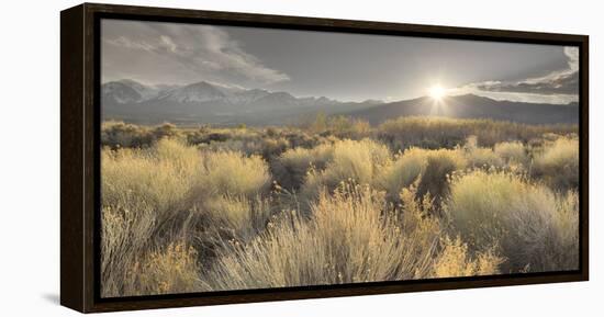 Owens River Valley, Sierra Nevada, California, Usa-Rainer Mirau-Framed Premier Image Canvas