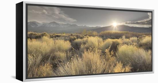 Owens River Valley, Sierra Nevada, California, Usa-Rainer Mirau-Framed Premier Image Canvas