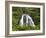 Owharoa Falls, Karangahake Gorge, Waikato, North Island, New Zealand-David Wall-Framed Photographic Print