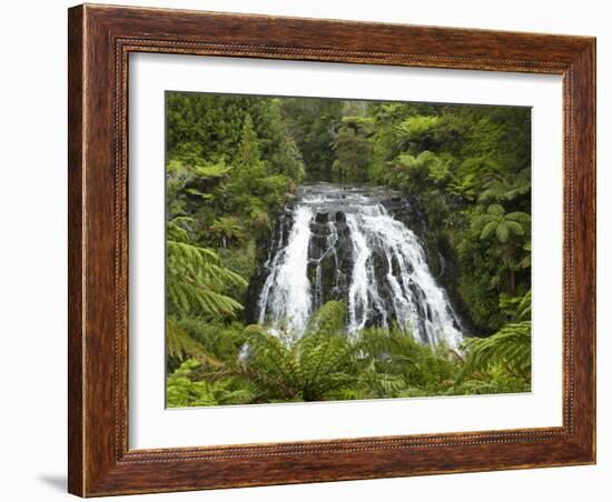 Owharoa Falls, Karangahake Gorge, Waikato, North Island, New Zealand-David Wall-Framed Photographic Print