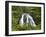 Owharoa Falls, Karangahake Gorge, Waikato, North Island, New Zealand-David Wall-Framed Photographic Print