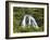 Owharoa Falls, Karangahake Gorge, Waikato, North Island, New Zealand-David Wall-Framed Photographic Print