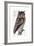 Owl, 1733-1763-null-Framed Giclee Print