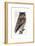 Owl, 1733-1763-null-Framed Giclee Print