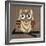 Owl 1-Erin Clark-Framed Giclee Print