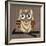 Owl 1-Erin Clark-Framed Giclee Print