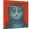 Owl, 2015-Tamas Galambos-Mounted Giclee Print