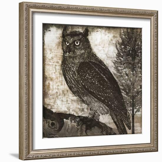 Owl 2-null-Framed Giclee Print