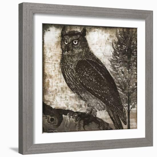 Owl 2-null-Framed Giclee Print