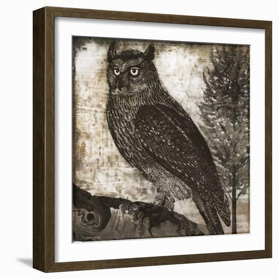 Owl 2-null-Framed Giclee Print