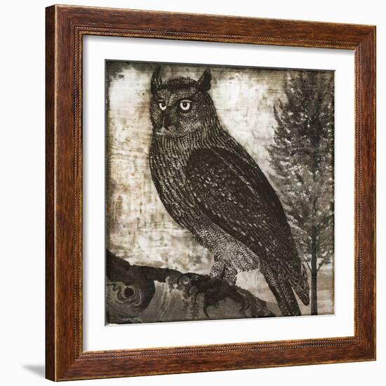 Owl 2-null-Framed Giclee Print