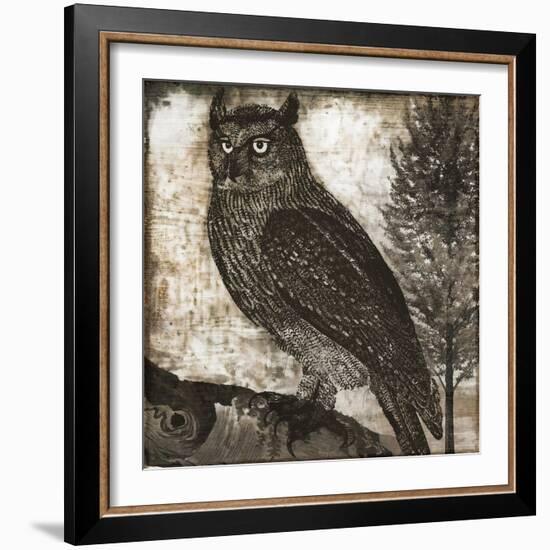 Owl 2-null-Framed Giclee Print