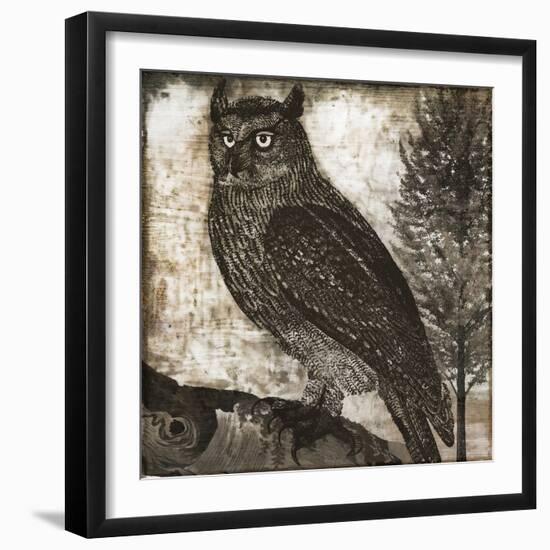 Owl 2-null-Framed Giclee Print