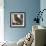 Owl 2-null-Framed Giclee Print displayed on a wall