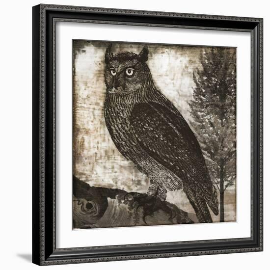 Owl 2-null-Framed Giclee Print