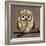 Owl 2-Erin Clark-Framed Giclee Print