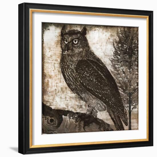 Owl 2-null-Framed Giclee Print