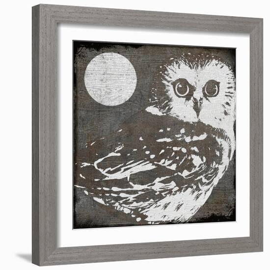 Owl 3-null-Framed Giclee Print