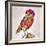 Owl 4-Mark Ashkenazi-Framed Giclee Print