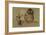 Owl And Bee-Joseph Crawhall-Framed Premium Giclee Print