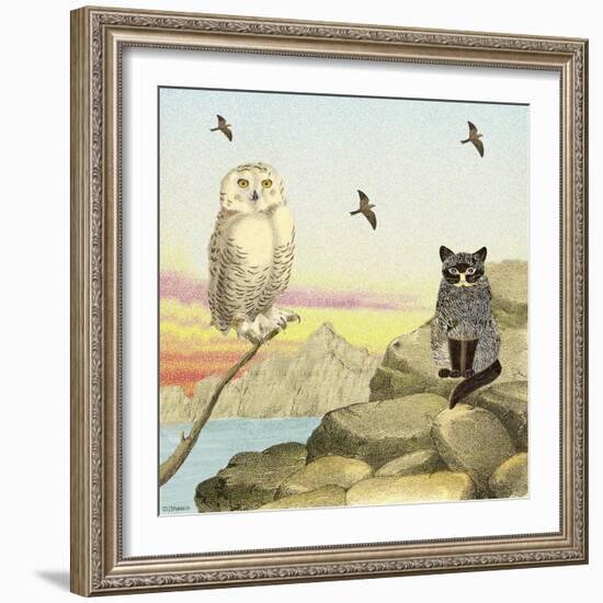 Owl and Pussycat 13-David Sheskin-Framed Giclee Print