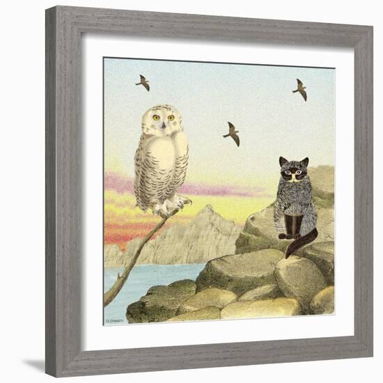 Owl and Pussycat 13-David Sheskin-Framed Giclee Print