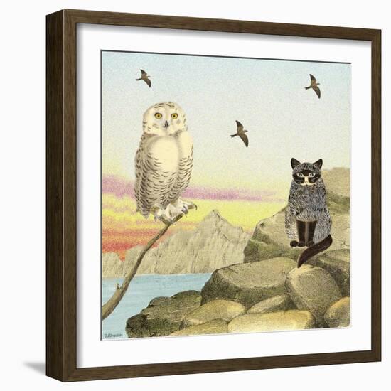 Owl and Pussycat 13-David Sheskin-Framed Giclee Print