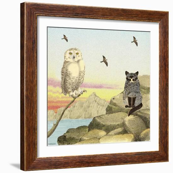 Owl and Pussycat 13-David Sheskin-Framed Giclee Print