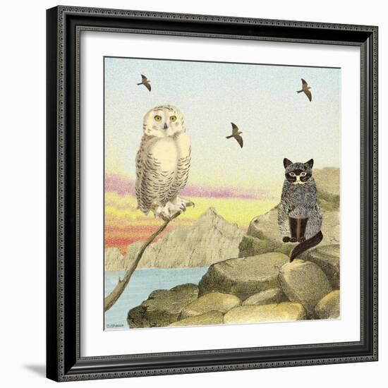 Owl and Pussycat 13-David Sheskin-Framed Giclee Print