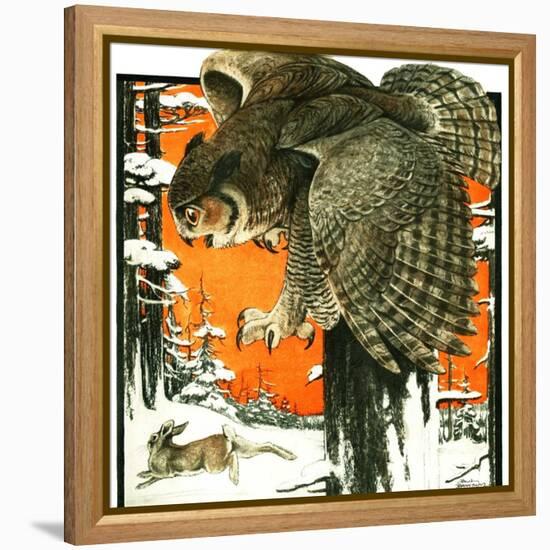 "Owl and Rabbit,"March 14, 1925-Paul Bransom-Framed Premier Image Canvas