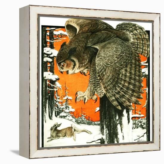 "Owl and Rabbit,"March 14, 1925-Paul Bransom-Framed Premier Image Canvas