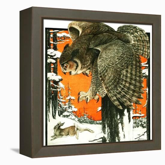"Owl and Rabbit,"March 14, 1925-Paul Bransom-Framed Premier Image Canvas