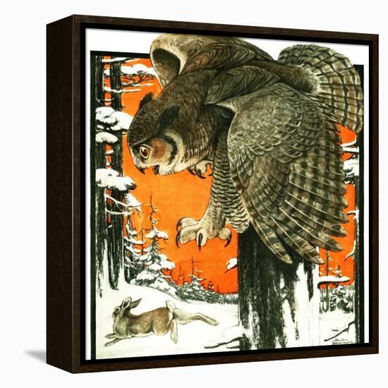 "Owl and Rabbit,"March 14, 1925-Paul Bransom-Framed Premier Image Canvas