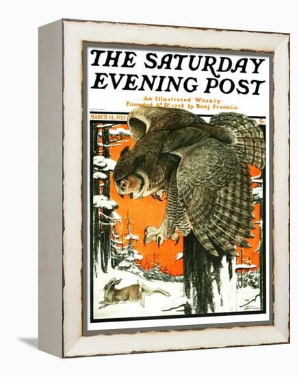 "Owl and Rabbit," Saturday Evening Post Cover, March 14, 1925-Paul Bransom-Framed Premier Image Canvas