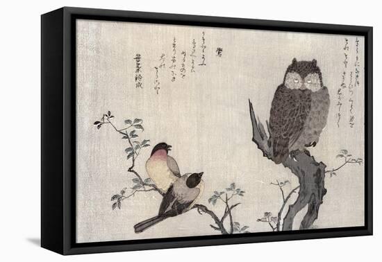 Owl and Two Eastern Bullfinches, Birds Compared in Humorous Songs, c.1791-Kitagawa Utamaro-Framed Premier Image Canvas